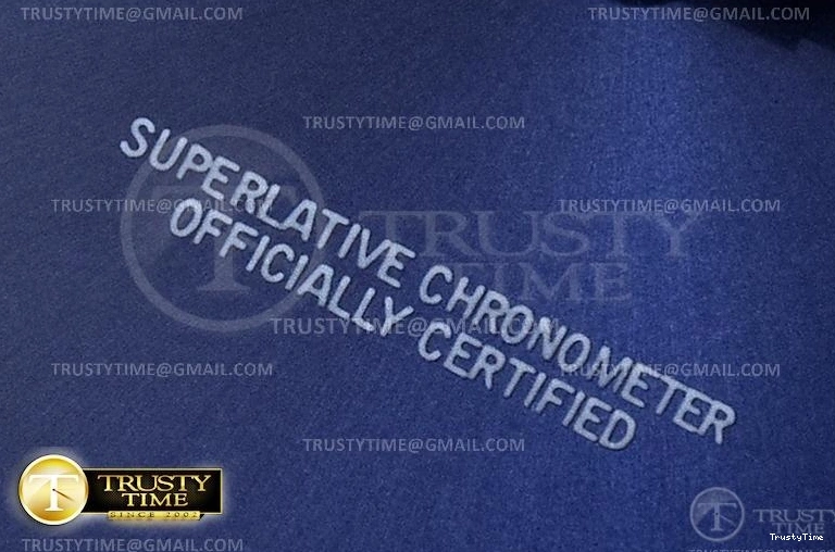 0301 R2DJ0252C – DJ2 41mm Jub EasyCare 633